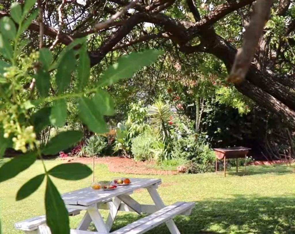 Choice Backpackers Lodge Bulawayo Extérieur photo
